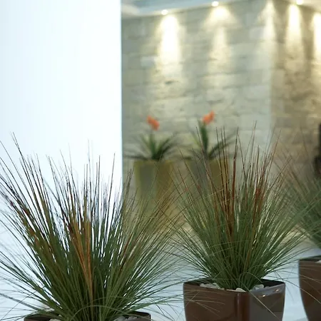 Hotel Sophia Afytos
